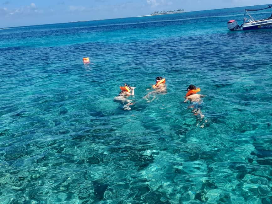 Nassau: Swimming Pigs Private Boat Tour - Up to 7 Persons - From Elizabeth on Bay to a calm Nassau island day