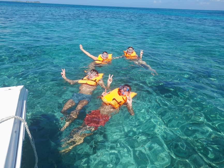 Nassau: Swimming Pigs Private Boat Tour - Up to 7 Persons - Who this tour suits best, and who should skip it