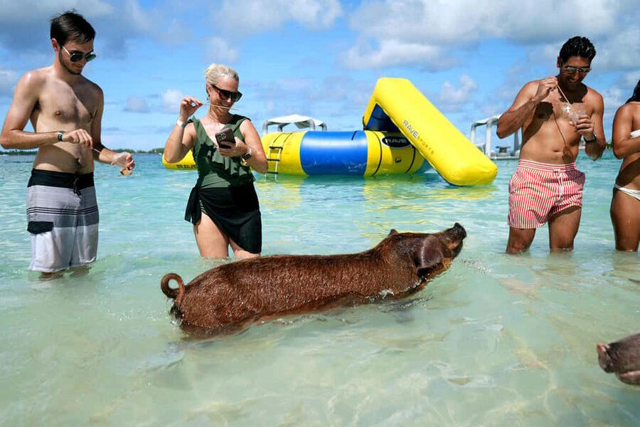 Nassau: Swimming Pigs, Snorkeling, Lunch, & Beach Boat Tour - Key highlights to know before you go