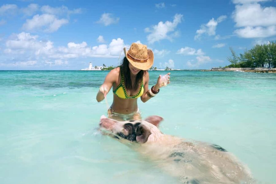 Nassau: Swimming Pigs, Snorkeling, Lunch, & Beach Boat Tour - Private beach break in New Providence waters: games, hammocks, and paddling