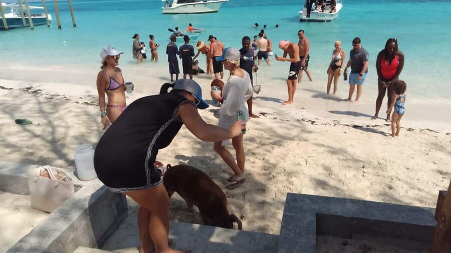 Nassau: Swimming with Pigs, Snorkeling, and Sightseeing Tour - Setting out from Bayshore Marina, what starts this trip fast