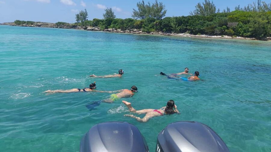 Nassau: Swimming with Pigs, Snorkeling, and Sightseeing Tour - Pig Island: beach time plus an optional pig swim