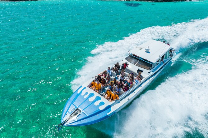 Original Exuma Powerboat Adventures - Sharks, stingrays, and safety rules you should follow closely