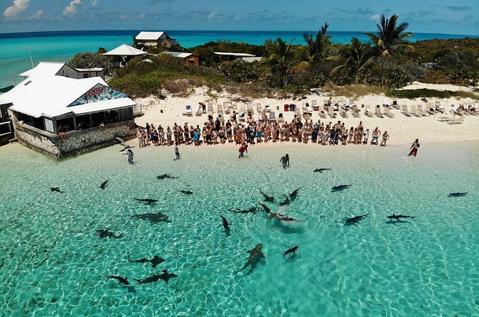 Original Exuma Powerboat Adventures - Guided snorkel of the reef, plus the current reality check