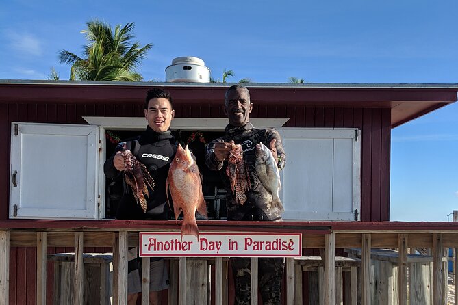 Paradise Cove Day Pass with Pickup from Freeport - Price, Value, and How Much Time You’re Actually Buying