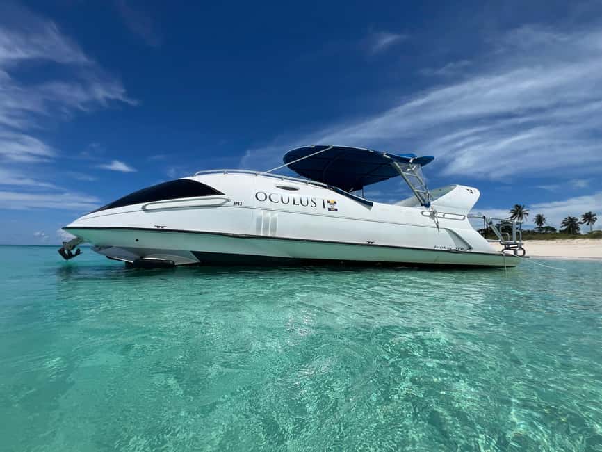 Paradise Island: Glass-Bottom Boat Tour with Live Commentary - Who This Tour Is Best For (And Who Should Skip It)