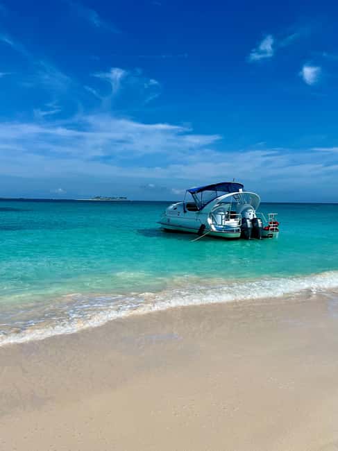 Paradise Island: Glass-Bottom Boat Tour with Live Commentary - Athol Island Views and the Reef Connection