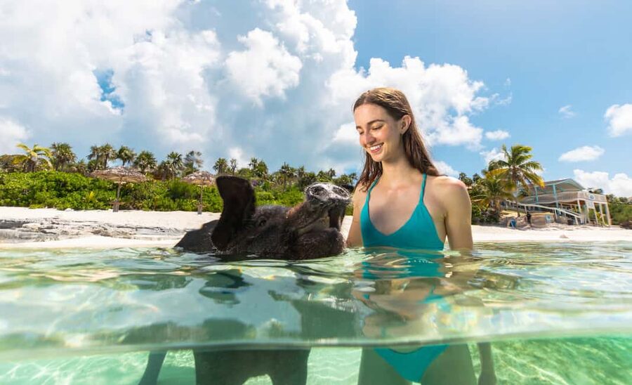 Paradise Island: Rose Island Tour with Swimming Pigs & Lunch - Key points to know before you go