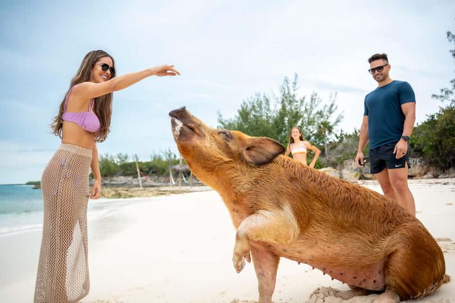 Paradise Island: Rose Island Tour with Swimming Pigs & Lunch - Beach logistics that make the day easier than you expect