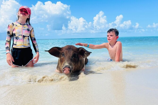 Perfect Day Swimming Pigs, Turtles, Reef Snorkel & Lunch - How the 4-hour Nassau boat day actually plays out