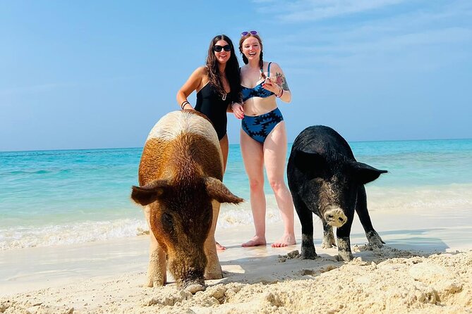 Perfect Day Swimming Pigs, Turtles, Reef Snorkel & Lunch - Reef snorkeling near Atholl Island: what you get in 30 minutes