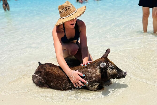 Perfect Day Swimming Pigs, Turtles, Reef Snorkel & Lunch - Value check: does $189 feel fair for what you get