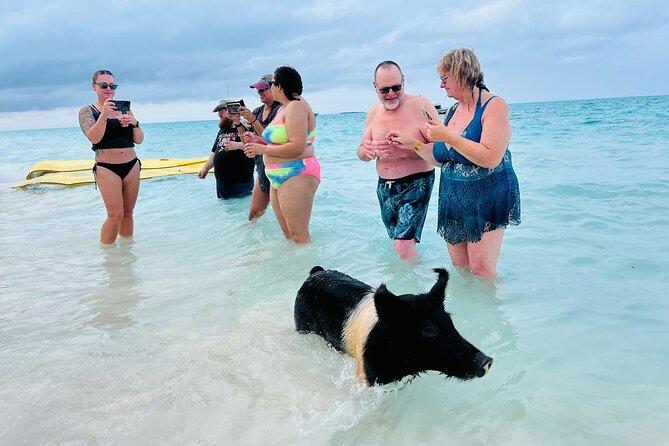 Perfect Day Swimming Pigs, Turtles, Reef Snorkel & Lunch - Practical tips to make your day smoother