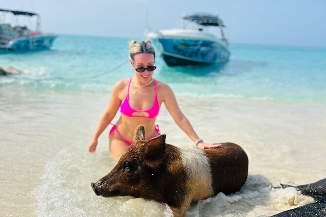 Perfect Day Swimming Pigs, Turtles, Reef Snorkel & Lunch - Green Cay Sanctuary turtle watching without snorkeling