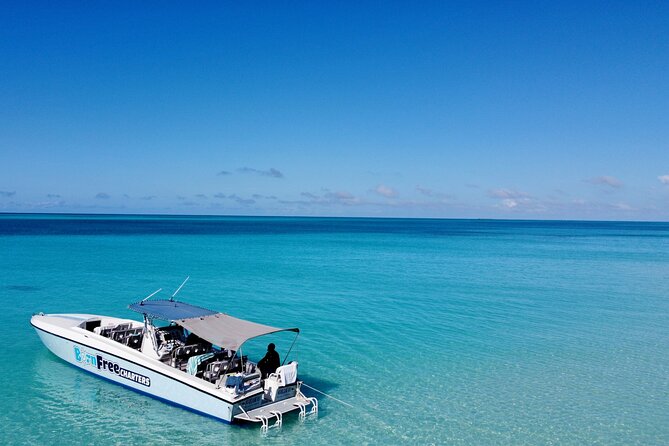 Pink Sand Beach and Swimming Pigs Adventure from Nassau - Snacks, Beer, Lunch, and Included Gear
