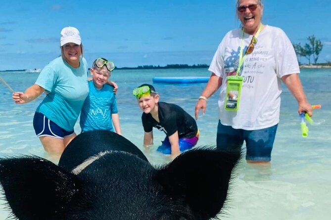 Powerboat and Snorkel Experience with Swimming Pigs and Turtles - A 35-Foot Donzi Ride That Keeps the Day Moving