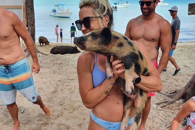 Powerboat and Snorkel Experience with Swimming Pigs and Turtles - Crew and Pacing: Why Small-Group Days Feel Better