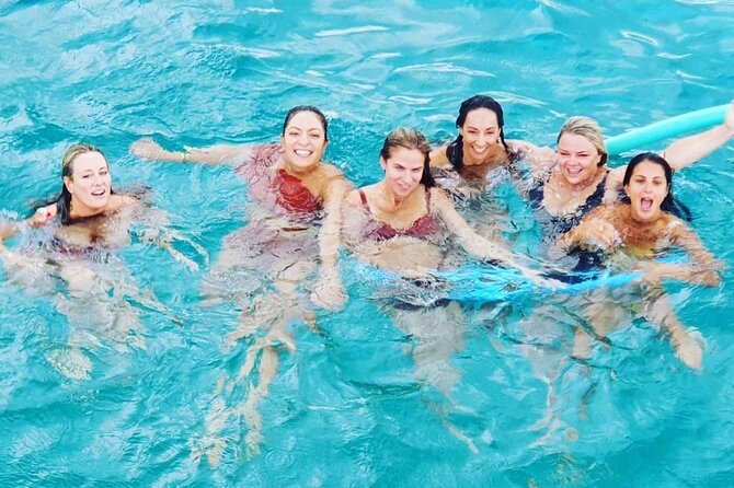 Powerboat and Snorkel Experience with Swimming Pigs and Turtles - Price and Value for a 3-Island Powerboat Day