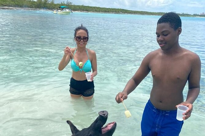 Powerboat and Snorkel Experience with Swimming Pigs and Turtles - Rose Island Snorkeling, Reef First, No Fancy Talk