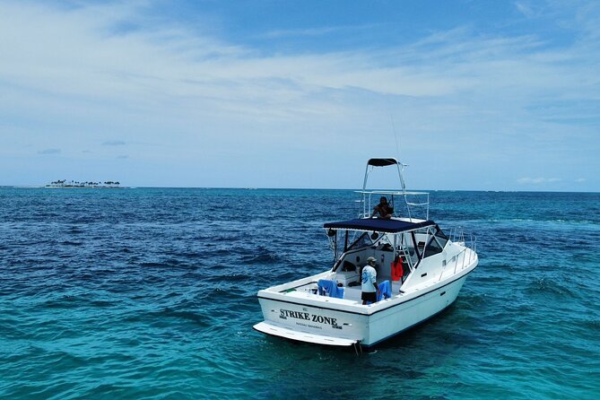 Private 38' Defender Sportfishing/Swim with Pigs in Nassau - Private 38 Defender Express in Nassau: why this charter feels worth it