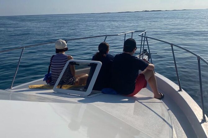 Private 38' Defender Sportfishing/Swim with Pigs in Nassau - How the 4-hour Rose Island plan actually plays out