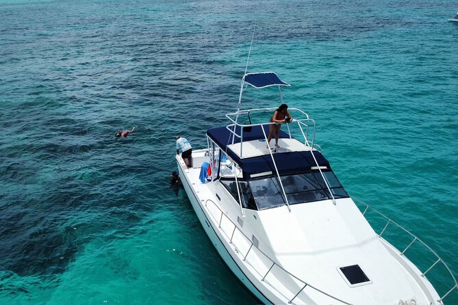 Private 38' Defender Sportfishing/Swim with Pigs in Nassau - Weather, timing, and what could change at sea