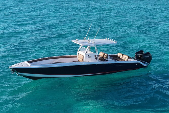 Private 4-Hour Rose Island charter Snorkeling Turtles & Beaching - The harbor cruise: landmarks and celebrity-home spotting, without the effort