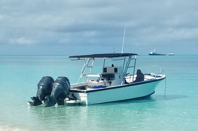 Private 4 hour Rose Island tour snorkeling fishing - Key things I’d plan around on your Rose Island boat day