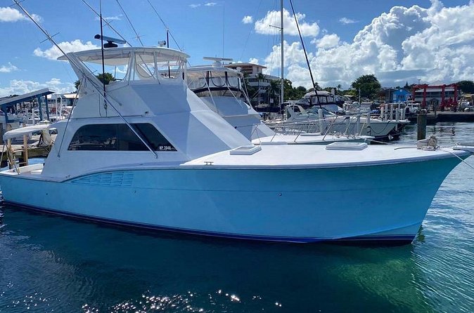 Private 45 Hatteras Sportfishing in Nassau - The Rose Island stop: snorkel, beach, or pigs
