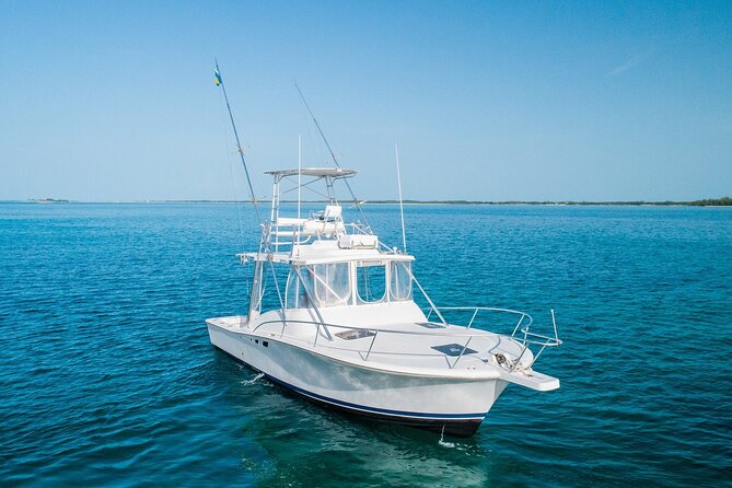 Private Bahamas Half-Day Fishing Tour from New Providence - The Main Event: Two Hours of Fishing and Captain-Led Targeting