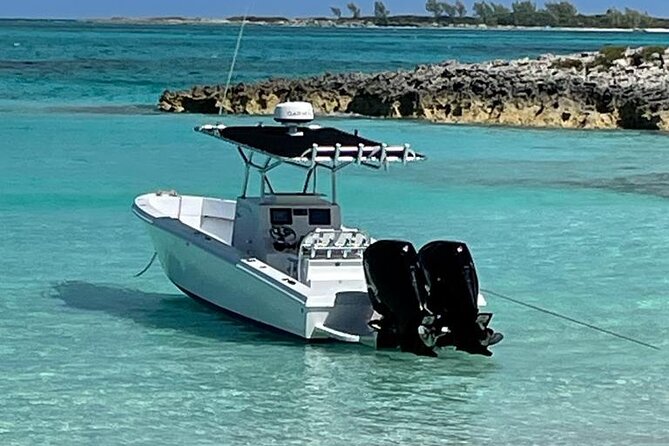 Private Beach Day / 50ft Sun Seeker or 33ft Boat / 1-10 Guests - Snorkeling and Reef Time: What You Can Expect