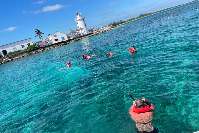Private Boat Swim and Snorkel Adventure to Rose Island - Should You Book This Private Rose Island Boat Swim?
