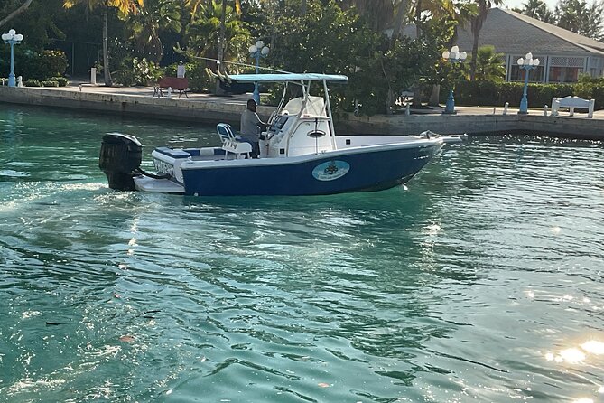 Private Boat Tours & Fishing Charters in Nassau, Bahamas - Weather, Sea Conditions, and Packing Tips That Actually Matter