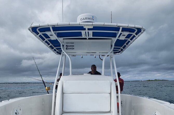 Private Charter for snorkeling, swimming pigs, turtles & fishing.... - Key things to know before you go