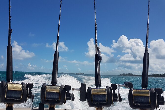 Private Charter for snorkeling, swimming pigs, turtles & fishing.... - Swimming with pigs and turtles, plus the $30 pig interaction fee