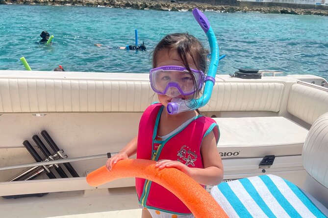 Private Eleuthera Island: Swim With Pigs, Turtles & Stingrays - Nassau to Eleuthera: the boat ride that sets the tone
