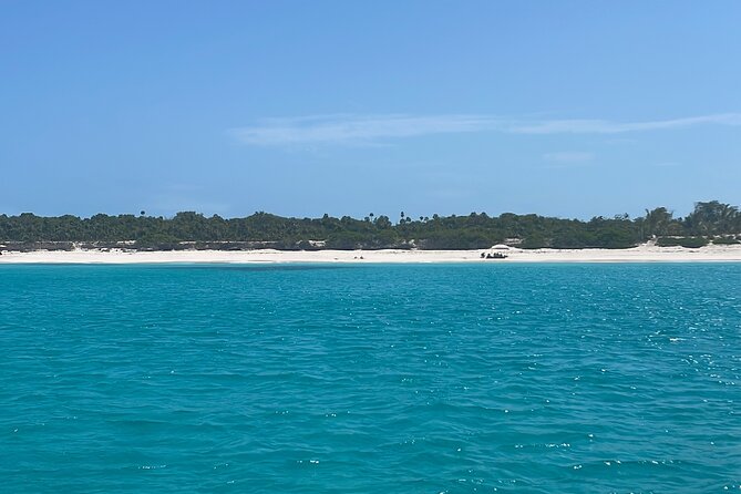 Private Eleuthera Island: Swim With Pigs, Turtles & Stingrays - Royal Island sandbar: swings, shade, and a last swim option
