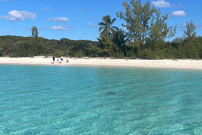 Private Eleuthera Island: Swim With Pigs, Turtles & Stingrays - Pig Beach in Eleuthera: swimming with friendly pigs