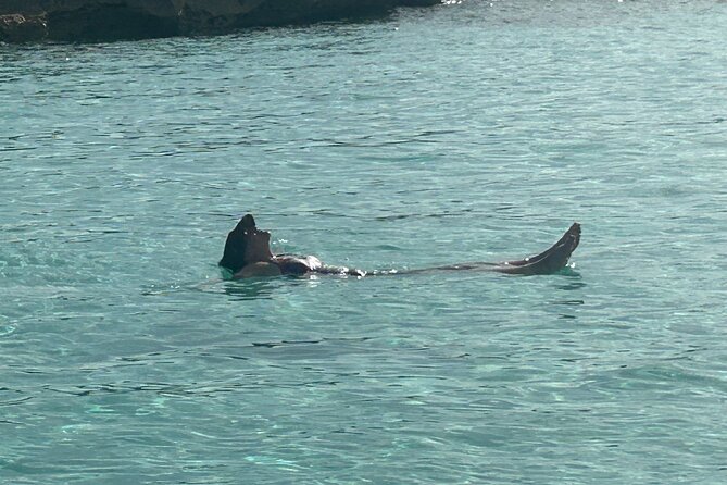 Private Full Day Cruise Tour in Rose Island with Snorkeling - Stop 1 in Nassau: beach, offshore reefs, and sea turtles