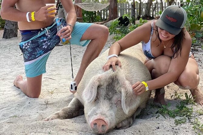 Private GroupTour Pigs/Turtles/Snorkeling/Lunch/Pickup/Dropoff - Key points before you go