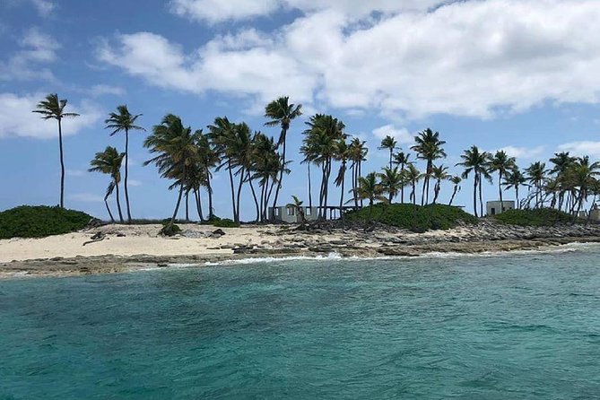 Private Rose Island, Swimming Pigs, Snorkeling and Turtles - Swimming pigs: optional, pay-attention important, and very flexible