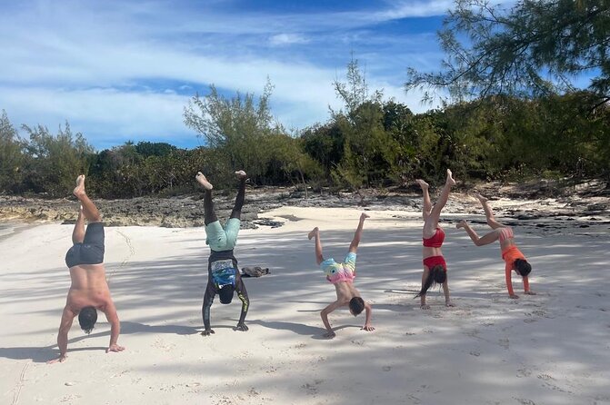 Private Rose Island, Swimming Pigs, Snorkeling and Turtles - Price and value: figuring out if $925 per group makes sense