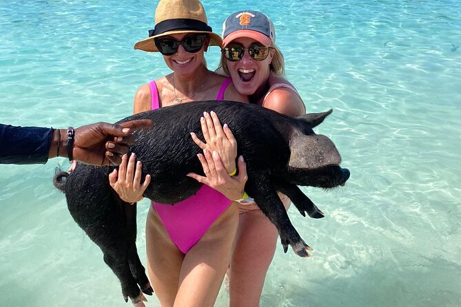 Private Rose Island, Swimming Pigs, Snorkeling and Turtles - Nassau cruise terminal departure: how your first hour sets the tone