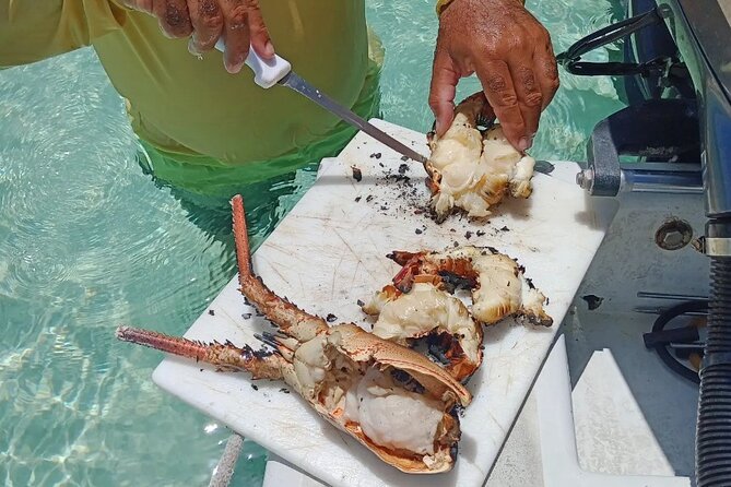 Private Snorkeling And Fishing Activity - How the 4-hour schedule really works