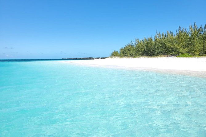 Private Snorkeling or Fishing in Nassau - 55ft Cocorijo - The crew dynamic, especially with families