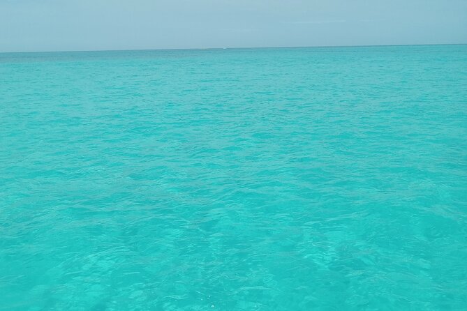 Private speed boat beach and bar hopping visiting Rose island - Key Things You Should Know Before You Go