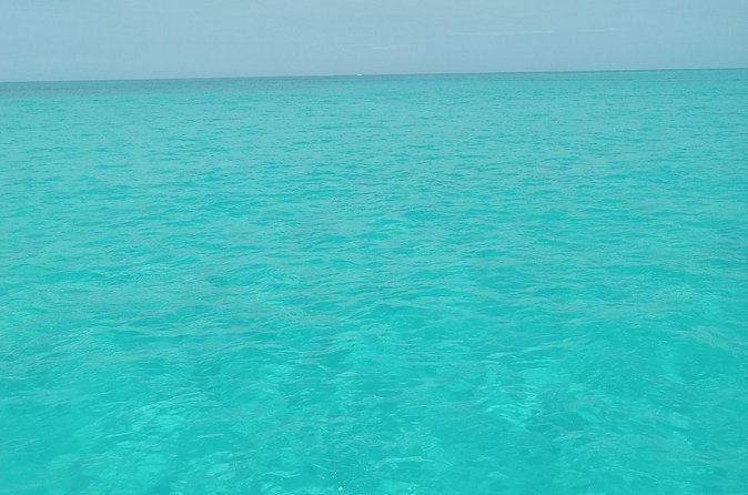 Private speed boat beach and bar hopping visiting Rose island - Price, Group Value, and When $850 Is a Win