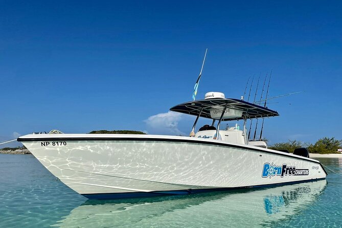 Private Speed Boat for Snorkeling or Fishing in Nassau - 34ft - Key things that make this private Nassau boat different