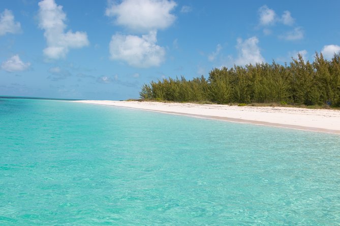 Private Speed Boat for Snorkeling or Fishing in Nassau - 34ft - The captain and crew dynamic: how Captain Willy shapes the day