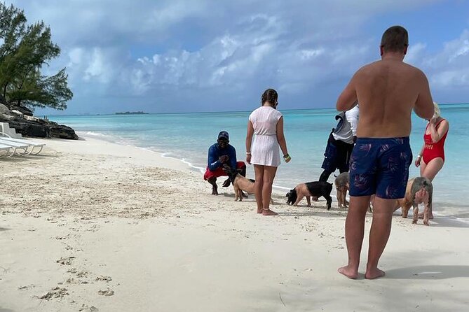 Private Swim With Pigs and Snorkeling in Paradise Tour - Snorkeling for tropical fish, turtles, and stingrays